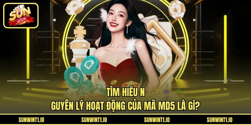 Tìm hiểu nguyên lý hoạt động của mã MD5 là gì